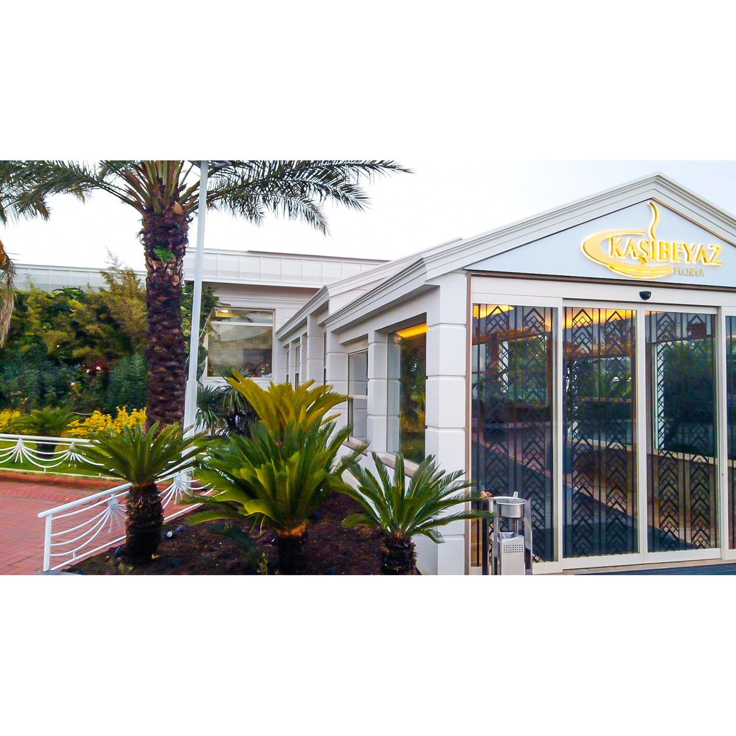 Best place of true splander